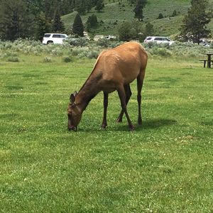 Meet your Posher, Ray